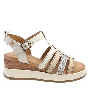 Carmela 161607 hielo