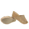 welurowe buty 74021-64 Wojas obuwie wojas